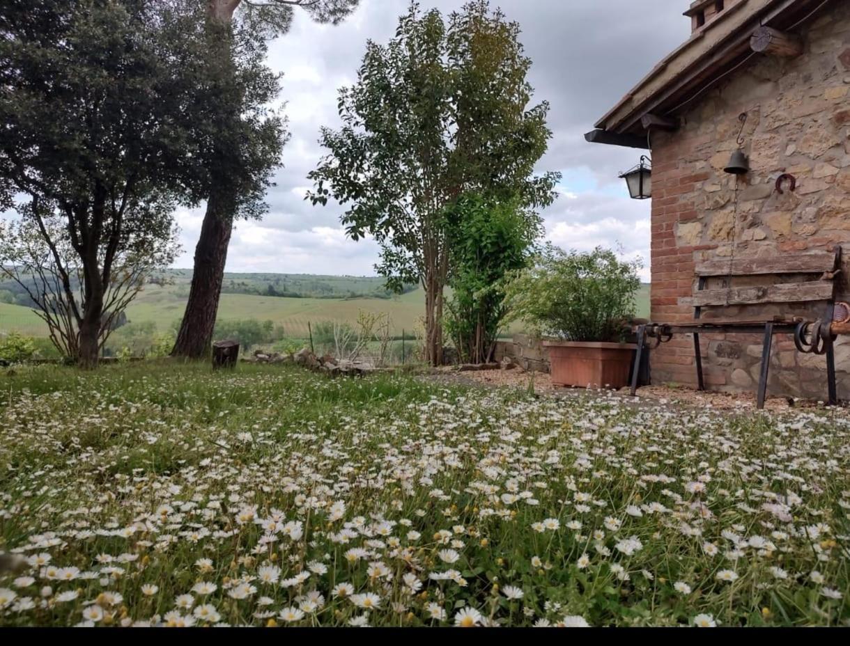 Il Giardino Del Chianti Daire Siena Dış mekan fotoğraf