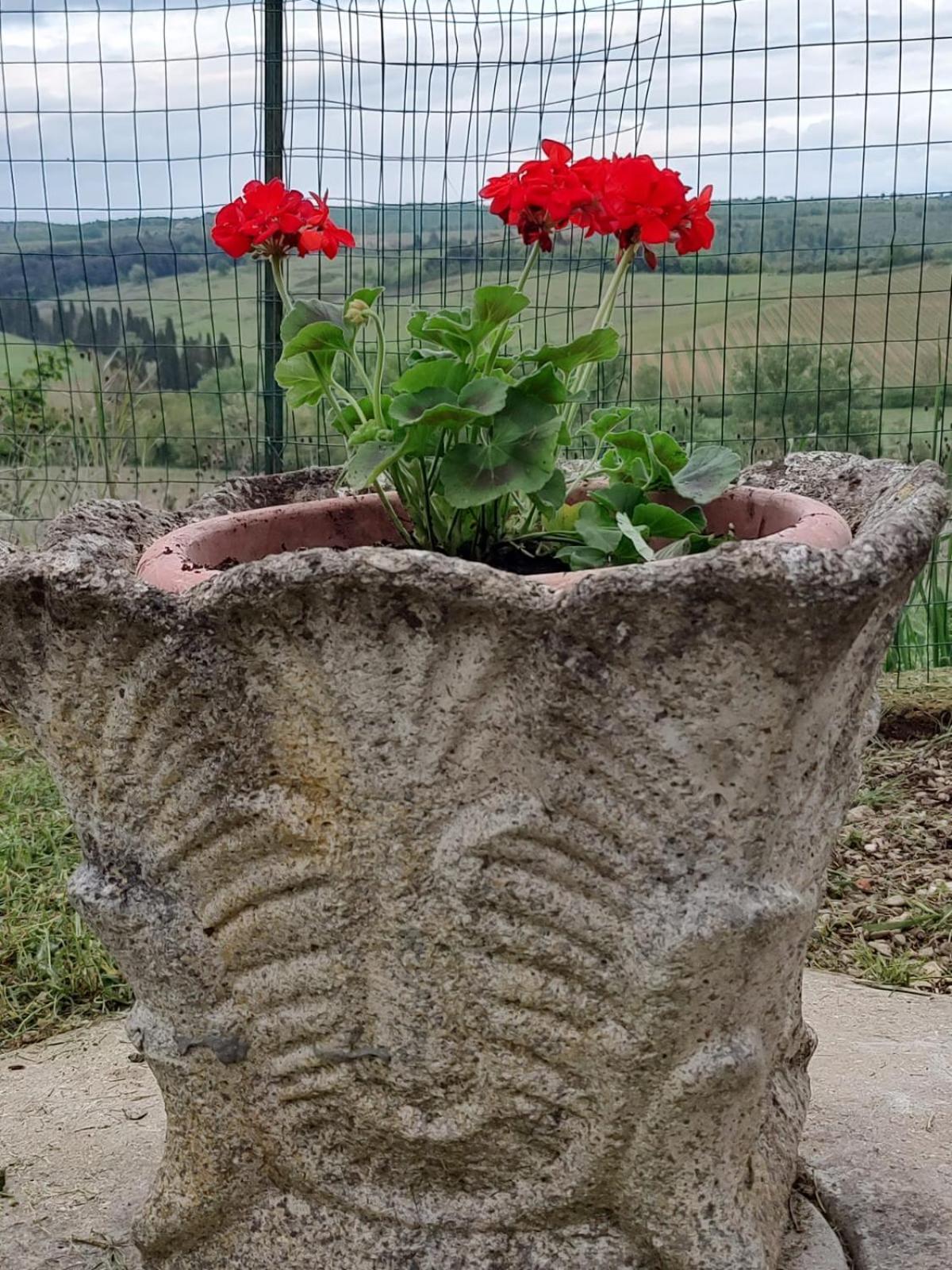 Il Giardino Del Chianti Daire Siena Dış mekan fotoğraf